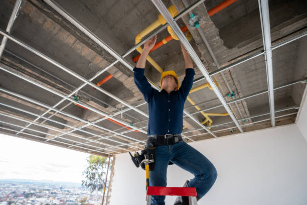 Best Residential Plumbing Services  in Ravenna, MI