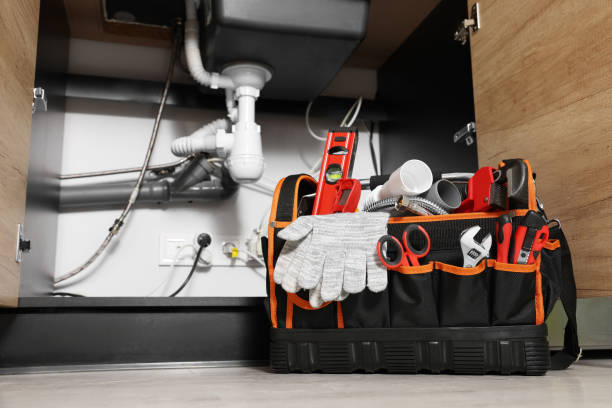 Best Affordable Plumbing Services  in Ravenna, MI