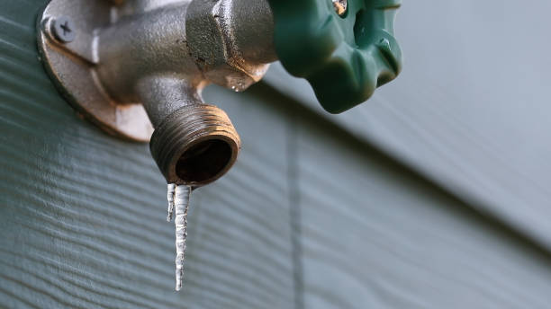 Best Emergency Plumber  in Ravenna, MI
